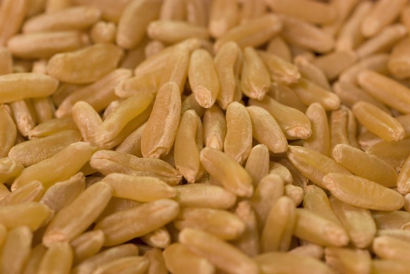 Файл:Kamut closeup.jpg