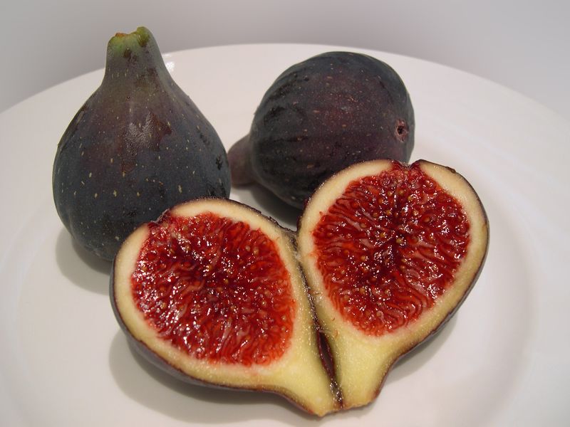 Файл:Breva ficus carica.jpg