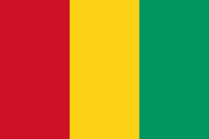 Flag of Guinea.png